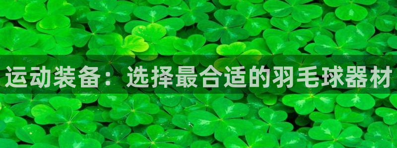 球客岛官方正版app科技:运动装备:选择最合适的羽毛球器材