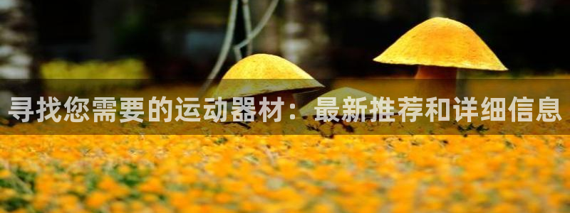 球客岛官方正版app娱乐代理怎么样:寻找您需要的运动器材:最