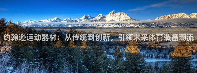 球客岛官方正版app娱乐40996:约翰逊运动器材:从传统到